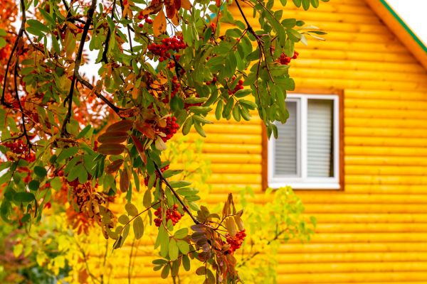 Garden Window Replacement in Seguin